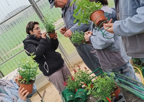 ARTICLE TEST - stage FDV à l'horticulture